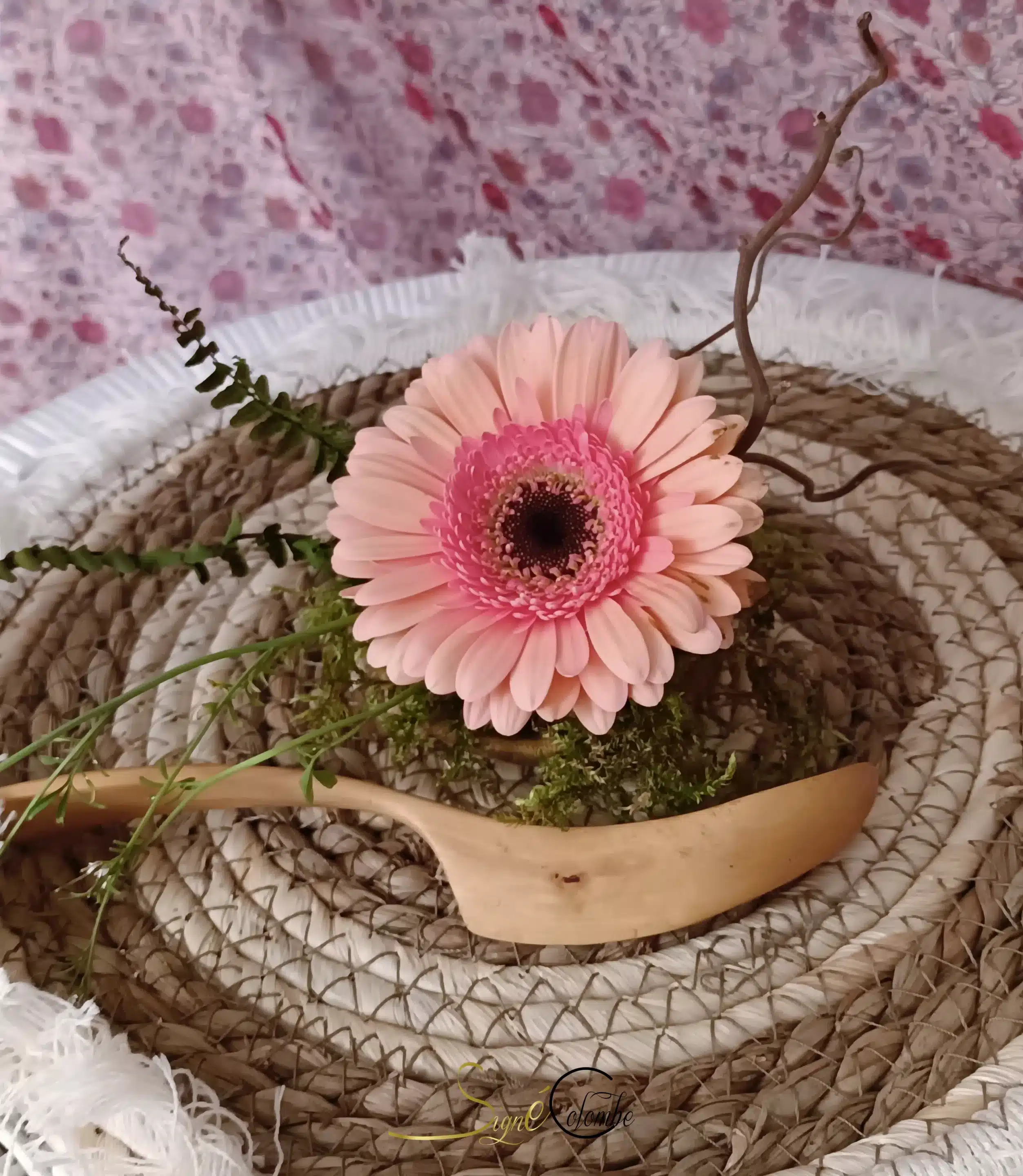  Mes réalisations  